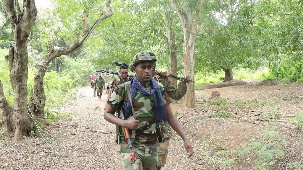 Militariga Awdheegle.jpg